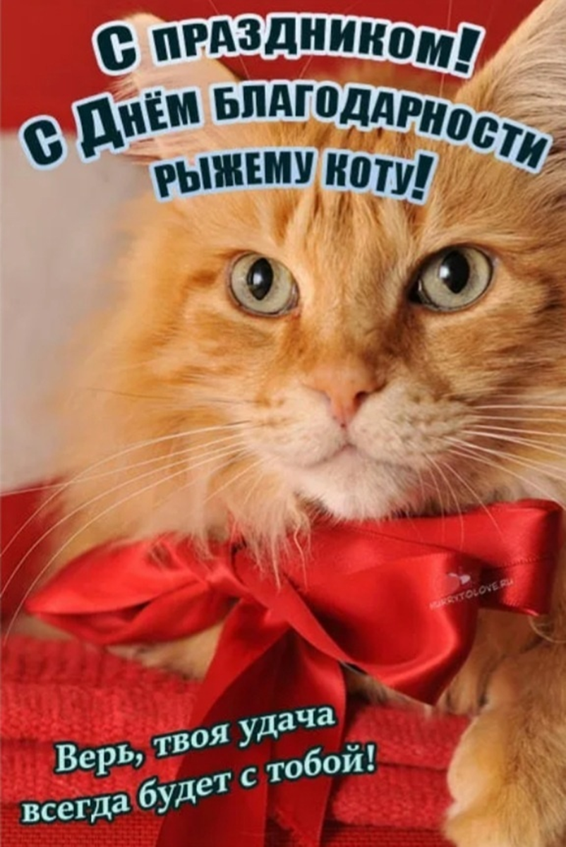 День благодарности рыжему коту 1 сентября. День благодарности рыжему коту картинки с надписями. День благодарности рыжему коту (ginger cat appreciation day). День рыжих кошек. День благодарности рыжему коту картинки с надписями.