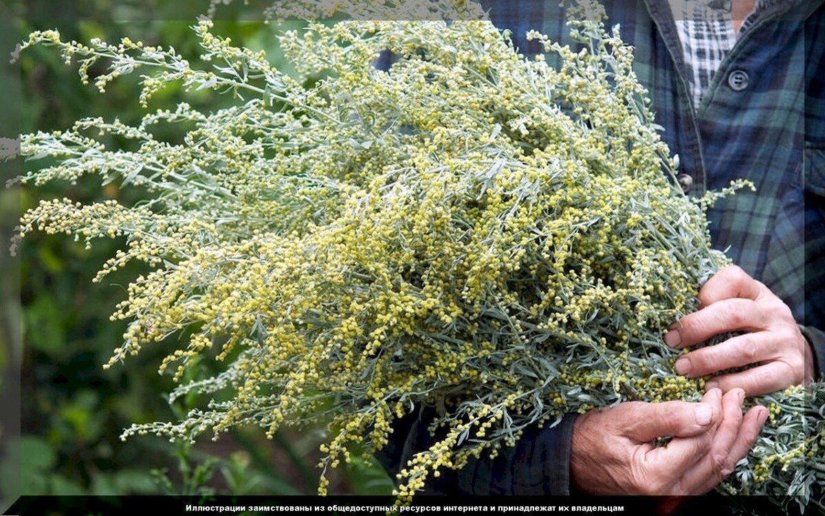 https://vk.com/photo-159774511_457266886