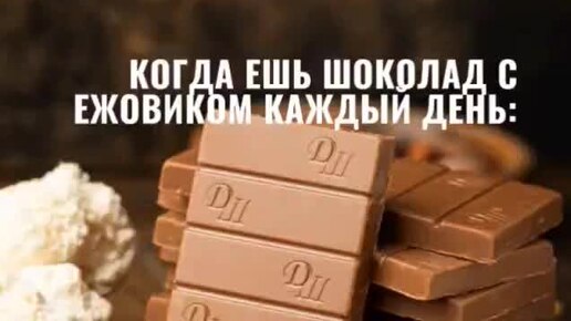 Прокачай мозг с суперфудом: что может ежовик в шоколаде?