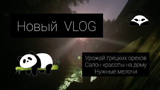 Vlog // урожай грецких орехов🌰🥥🥜//салон красоты на дому💅//нужные мелочи для дома🏡