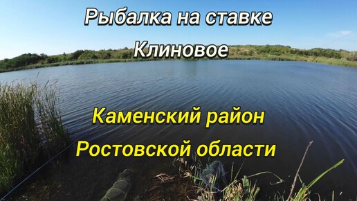 Рыбалка на ставке Клиновое. Ростовская область, Каменский район.