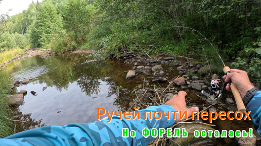 Ручей почти пересох, но ФОРЕЛЬ осталась!