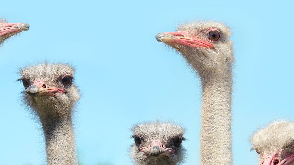    Фото: shutterstock