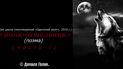 2024 I «Измученный одиночеством...» I «Волк-отшельник» (первая часть) I (© Данила Галин)