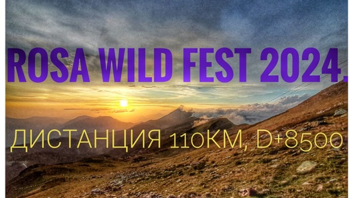 Wild trail 2023 сочи. Rosa wild fest. Марафон балтийский трейл 2023 медали. Rosa wild fest. Rosa wild trail 110 км.