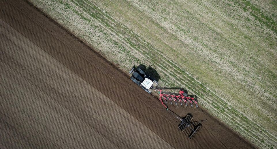    Kay Nietfeld/dpa / Global Look Press