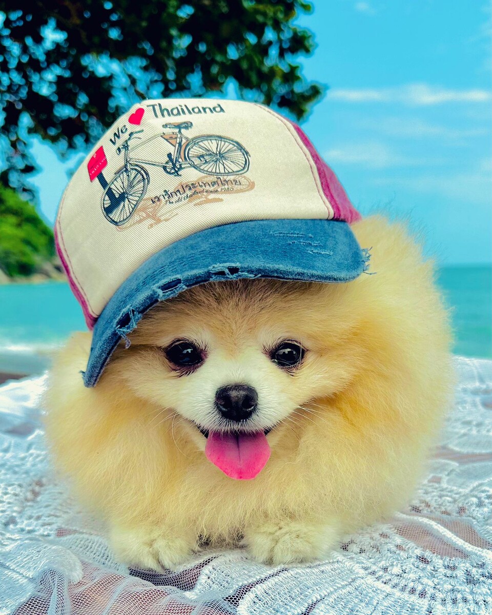 Пончик на пляже в Тайланде на острове Панган