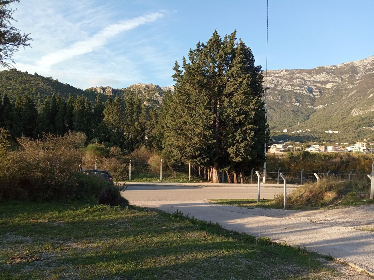 Спичанское поле в Сутоморе