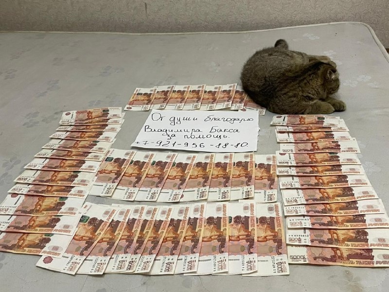  Заработай сразу🟢 Только КРАСНОДАР✔️ Все В рамках закона РФ‼️ Только под Белое❕ НЕ ДЛЯ ОБНАЛА НЕ СКАМА❌❌ Работаем... 