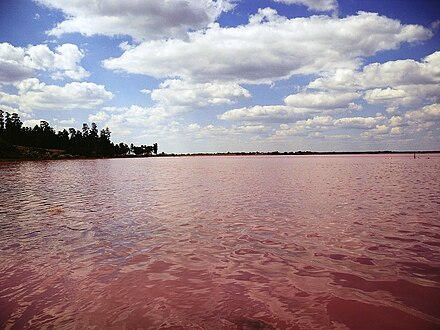 Поезда в поселок Малиновое озеро (Алтай)