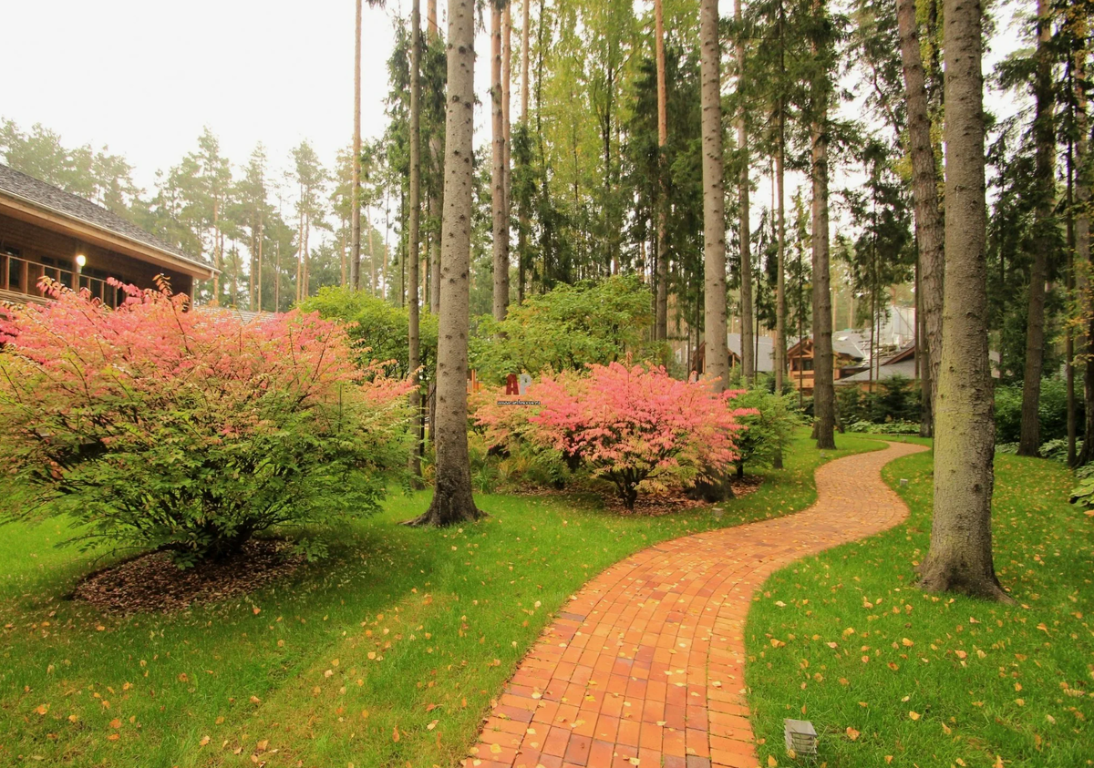 Источник фото: uleoparda.ru