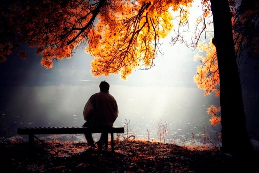 Фото из свободного источника