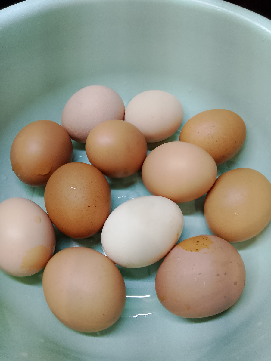Яйца от наших курочек