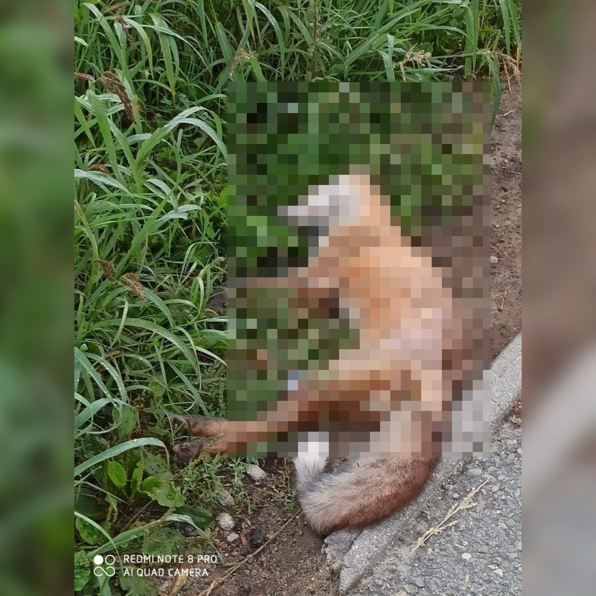     Источник: vtoryakvdk