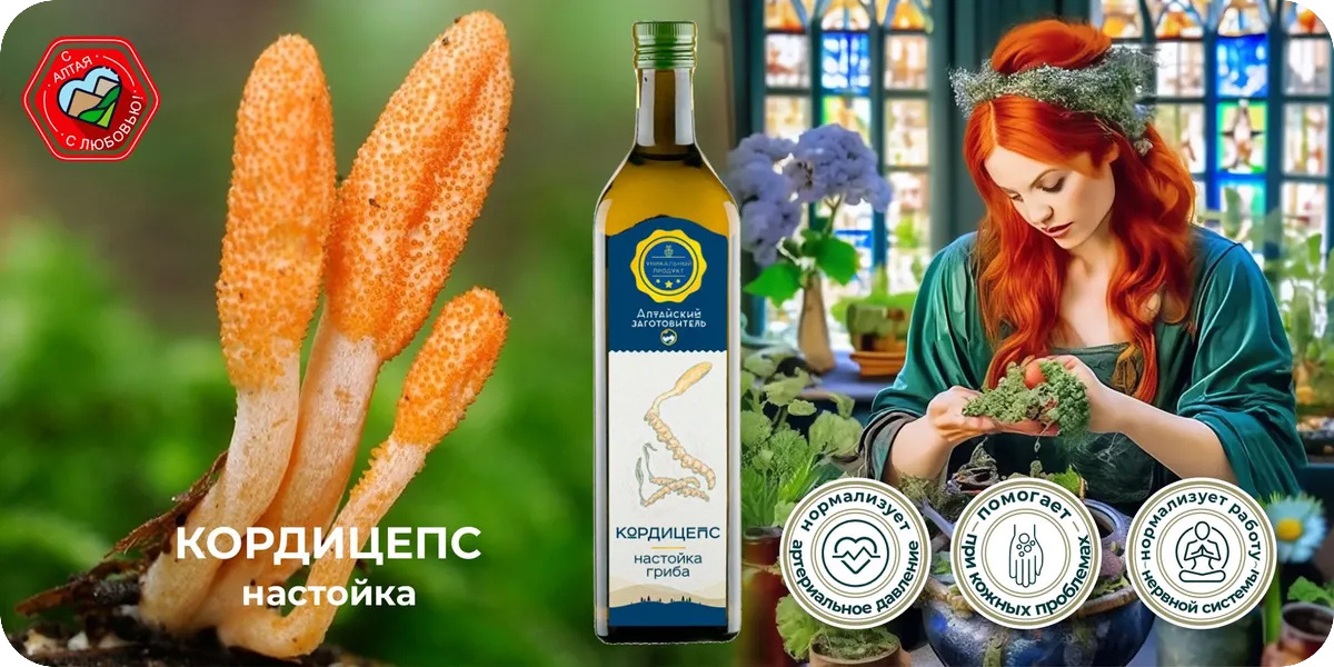 «Алтайский заготовитель» Кордицепс настойка