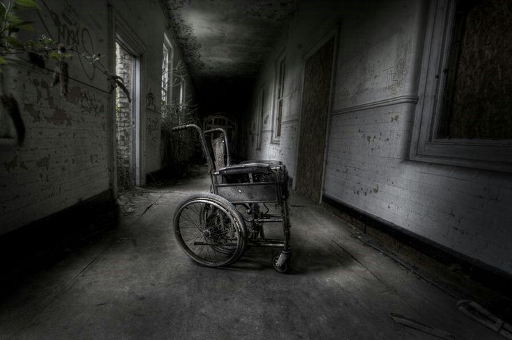 Фото из интернета 