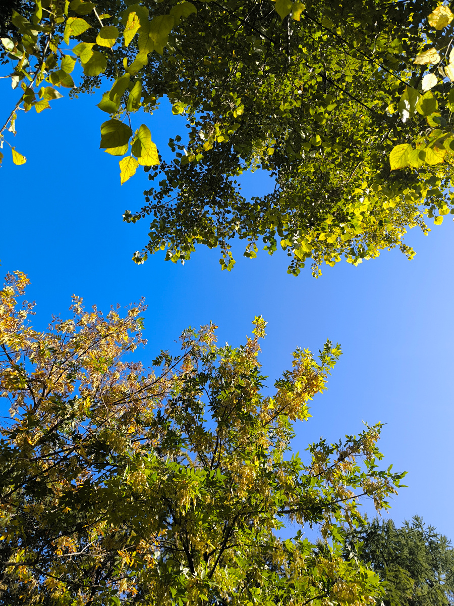 Фотографии в статье авторские