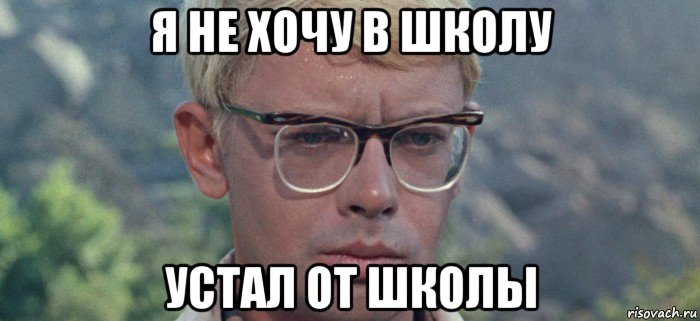 Яндекс картинки