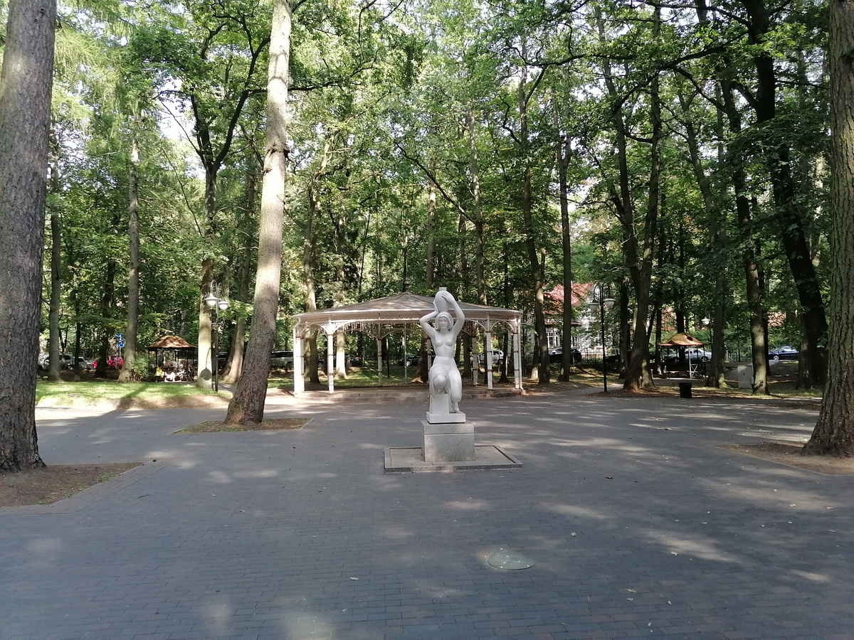 В лиственничном парке Светлогорска. Фото автора. 
