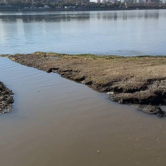 Два дня назад в соцсетях Иркутска появились кадры, на которых мутная мыльная вода стекает прямо в Ангару в районе улицы Бульвар Гагарина. Через некоторое время в Байкальской природоохранной прокуратуре объявили, что ситуация взята на контроль. Сегодня же в Минприроды региона сообщили, что разлив сточных вод в реку прекращен.