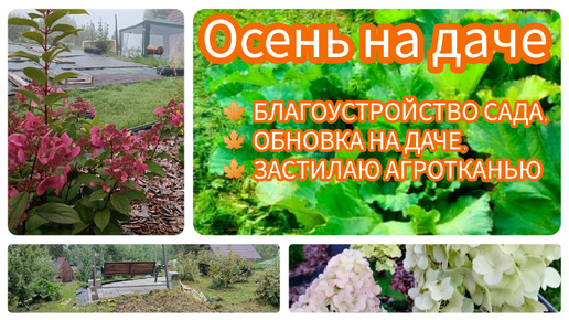 ОБНОВКА НА ДАЧЕ, ДЕЛАЕМ БЛАГОУСТРОЙСТВО САДА, НАКРЫВАЮ АГРОТКАНЬЮ 🏡🍀