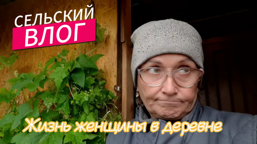 Download Video: Дела деревенские. Выкопали картошку. Заморозки. Ремонтирую лампочки.