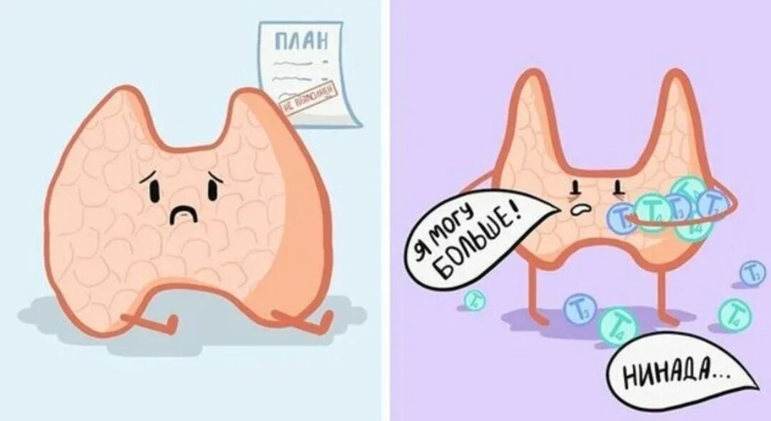 Картинка из интернета 