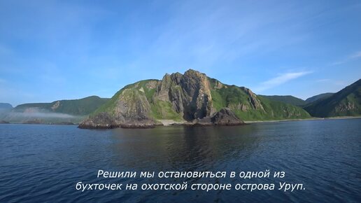 Самый крупный хищник острова Уруп