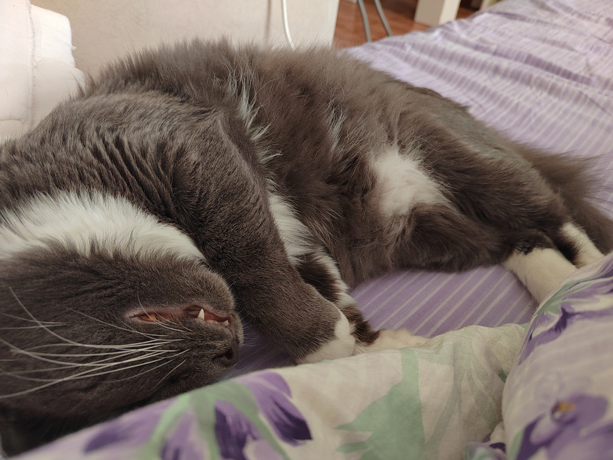 Фото автора канала.