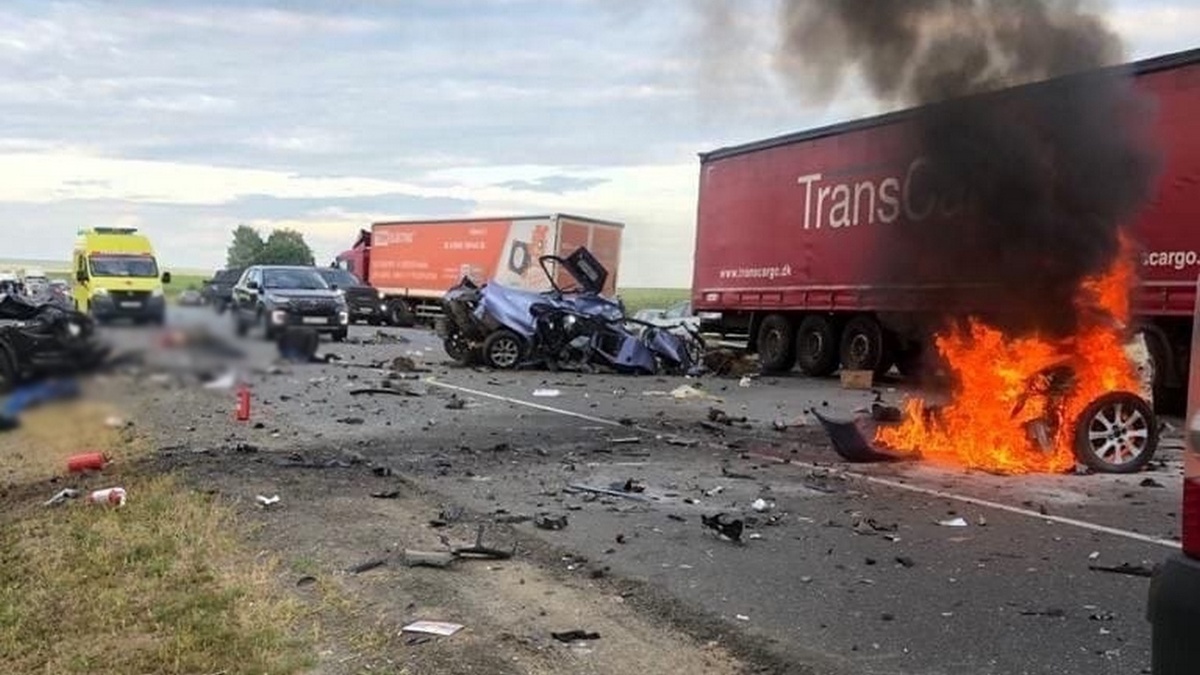 Фото взято из открытых источников