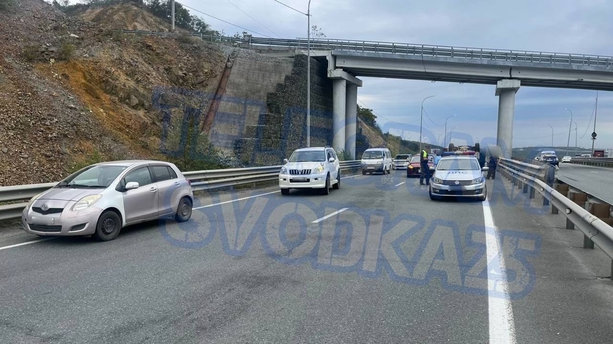     Источник: svodka25