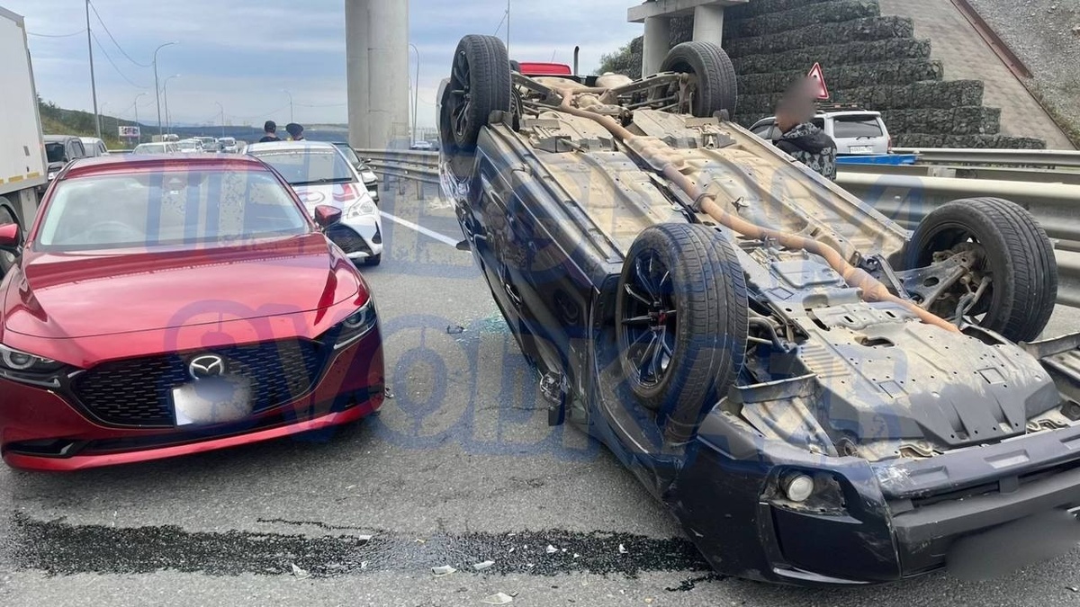     Источник: svodka25