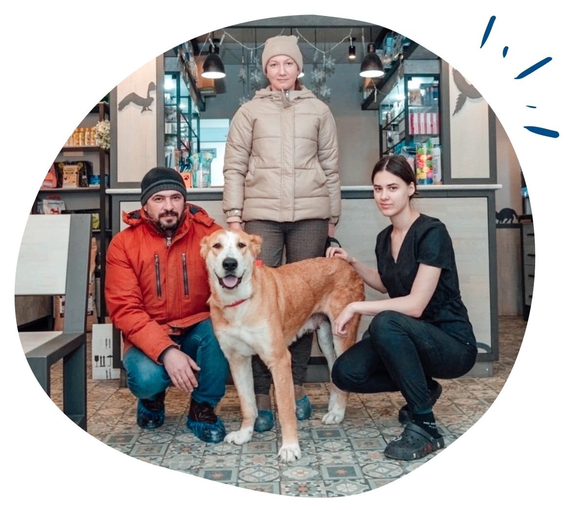    Собака не могла наступить на заднюю правую лапу