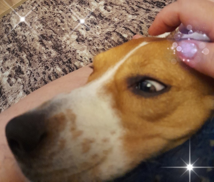 Линдуся в наших сердцах.