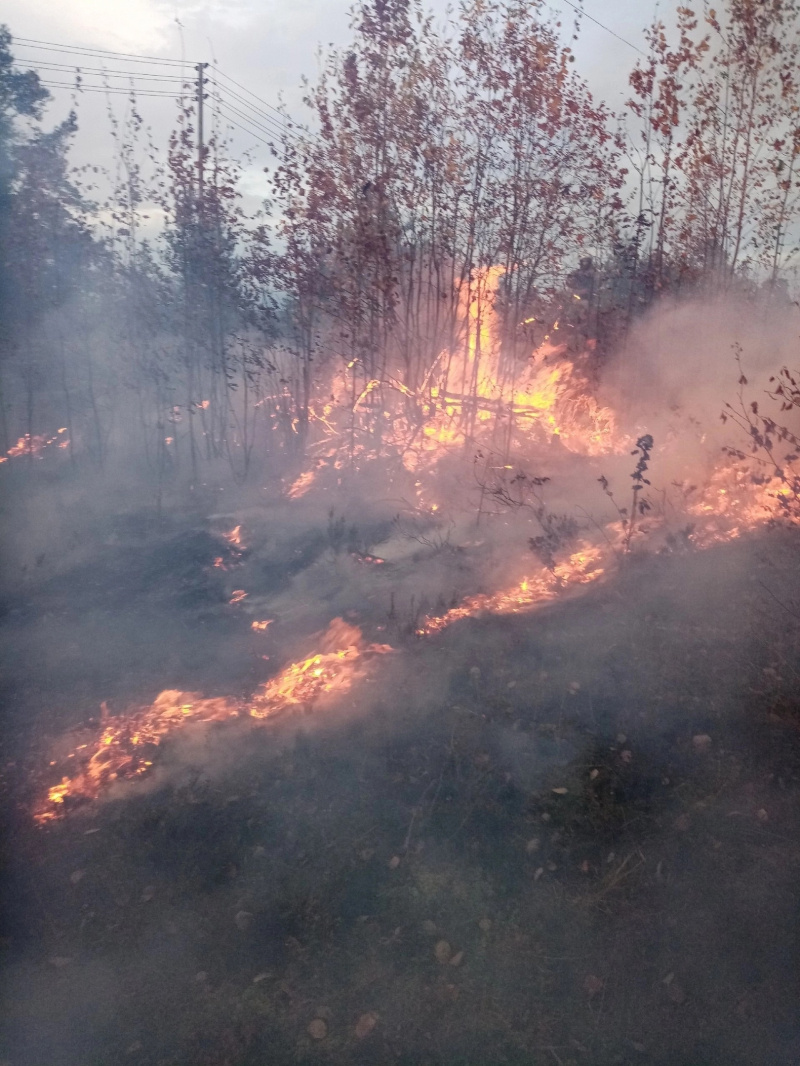    Трава вспыхнула в Соломенном по неизвестной причинеПОЖАРНАЯ ЧАСТЬ -75 СОЛОМЕННОЕ / ВК