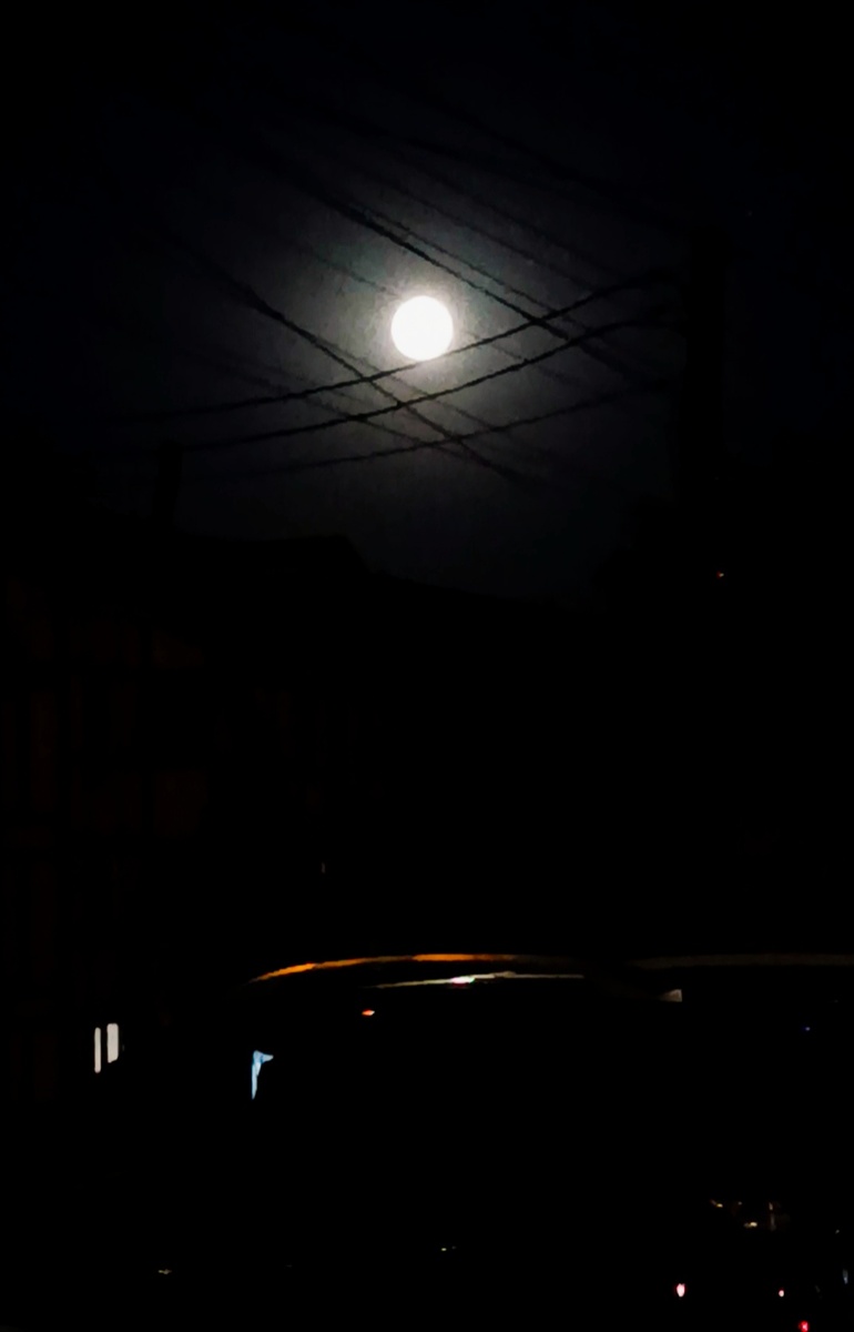 Фото автора.