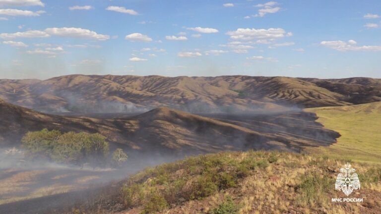    В зоне риска еще больше территорий. В Оренбуржье сохраняется 5 класс пожарной опасности Кристина Просвиркина