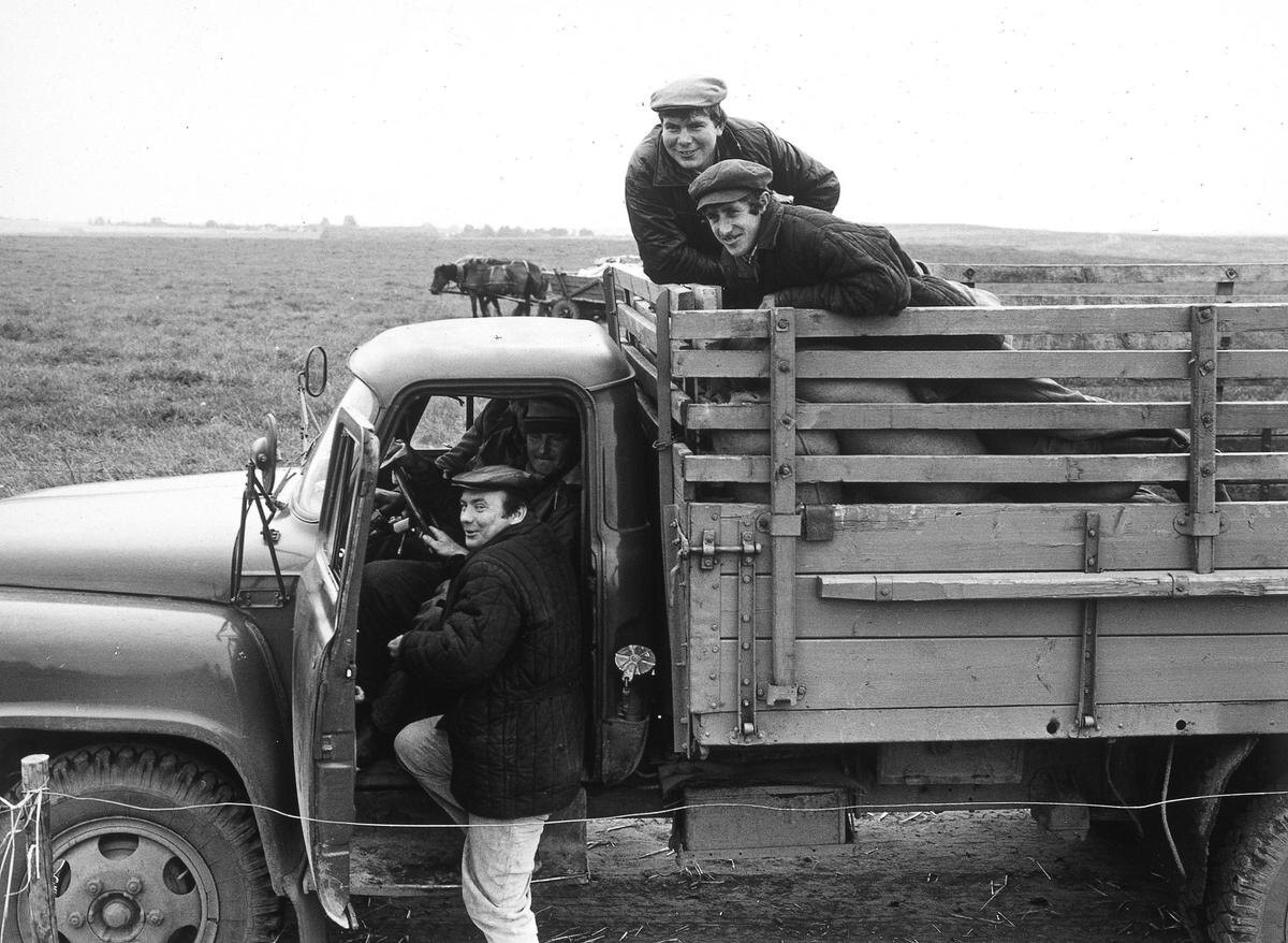 СССР импортировал зерно, а Россия — один из крупнейших его экспортеров