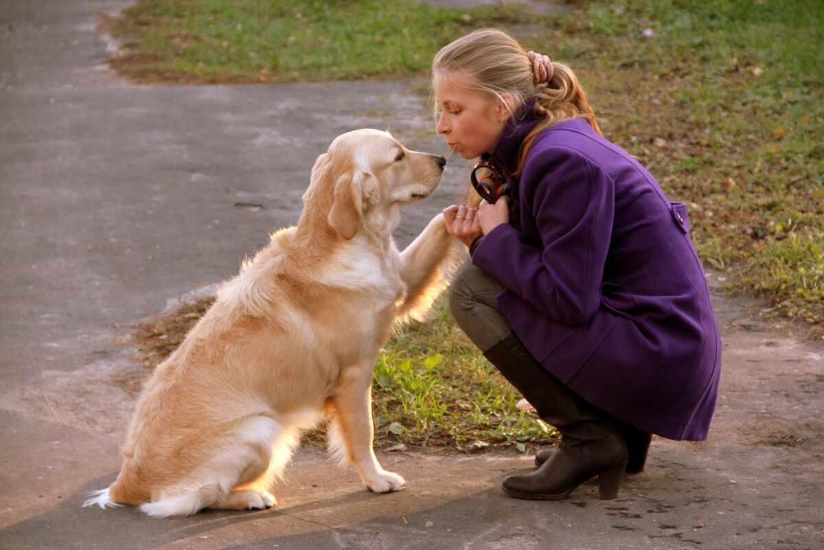 Фото отсюда https://labroclub.ru/forum/uploads/gallery/album_369/gallery_3658_369_5711460.jpg