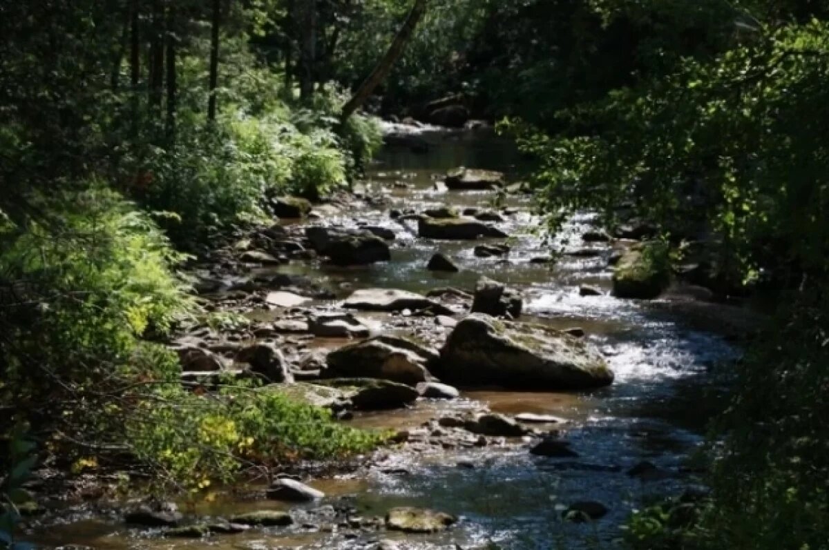    Яна Федорова выбрала самую сложную тропу к ручью.