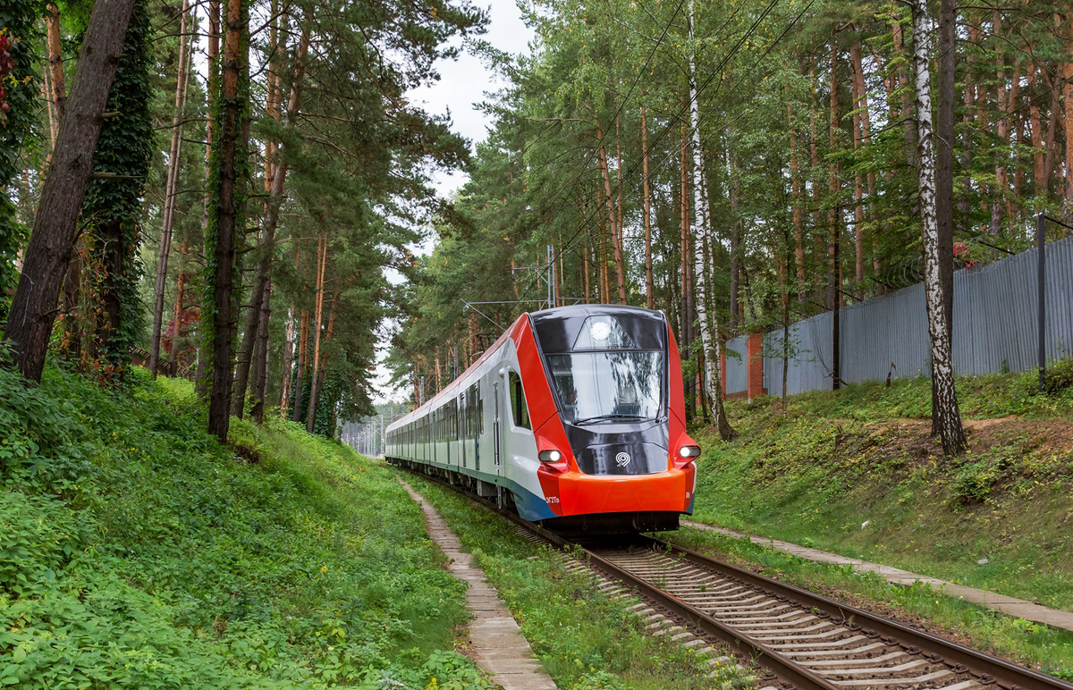 Однопутка среди соснового леса