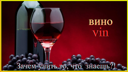 Зачем учить то, что знаешь?! вино - vin #французскийязык#французскийдляначинающих#французскийучить