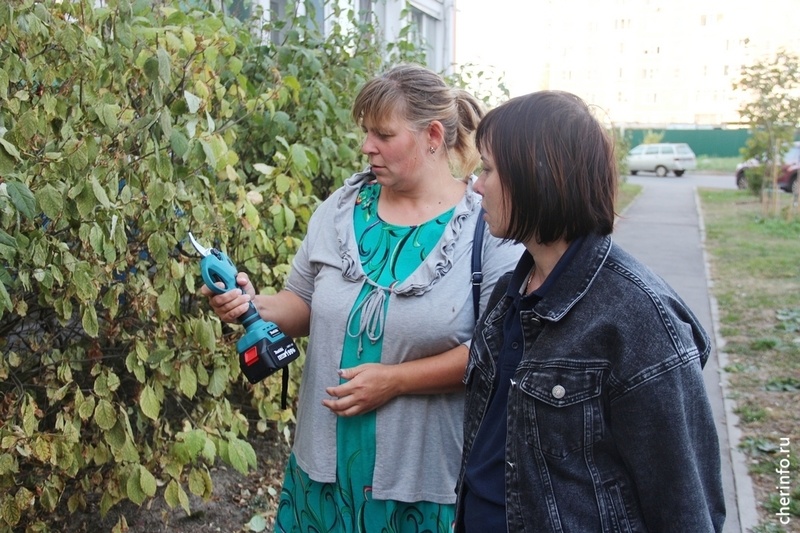    Несколько мастер-классов по озеленению и ландшафтному дизайну провели за лето в Северном районе.