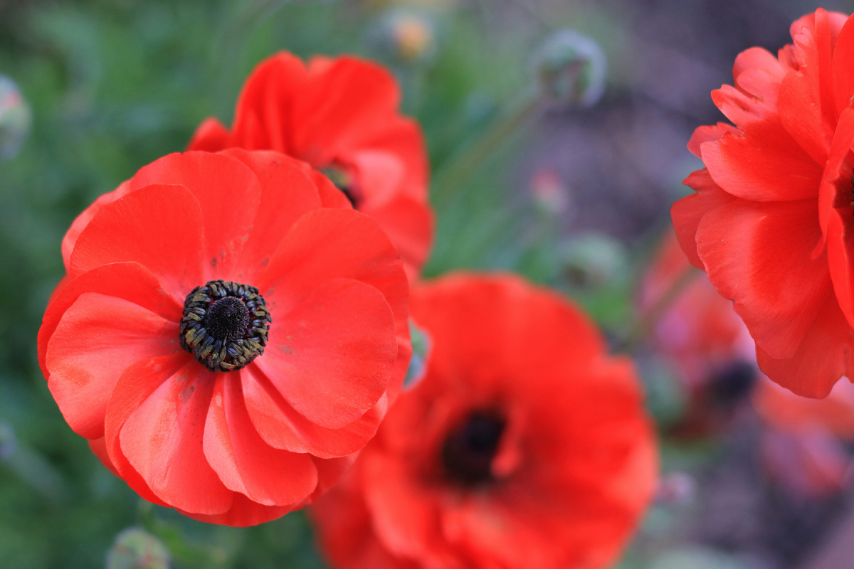 Картинка с бесплатного фотостока https://unsplash.com, автор Dalal