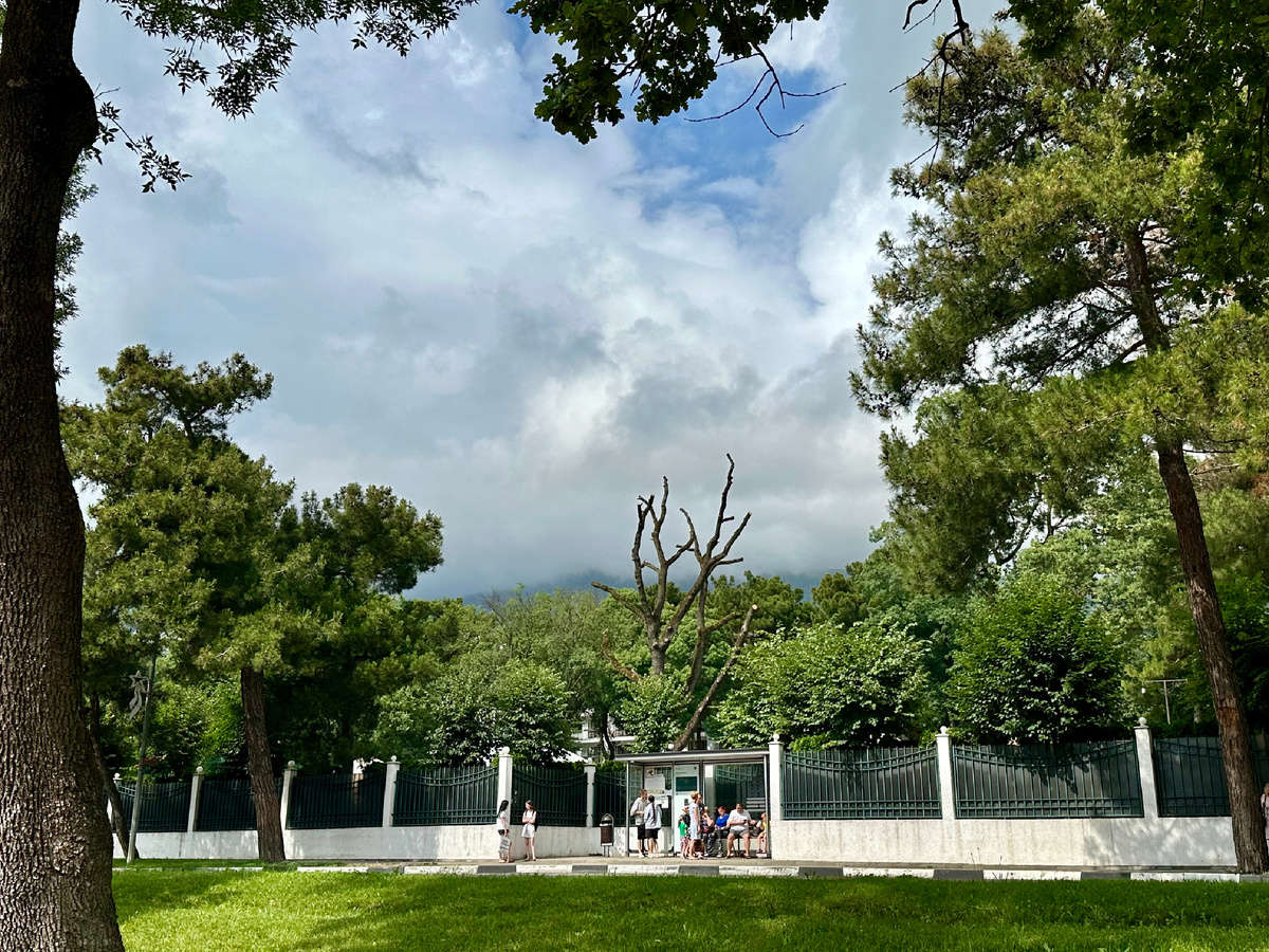 Геленджик - невероятно зеленый и ухоженный город 