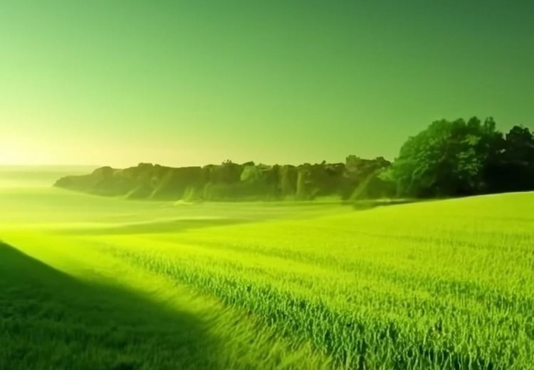    Изменение климата сокращает разрыв в урожайности органических и традиционных сельхозкультур