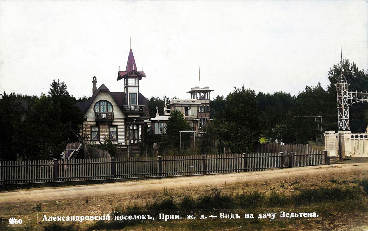 Вид на дачу Зельтена в Александровском поселке