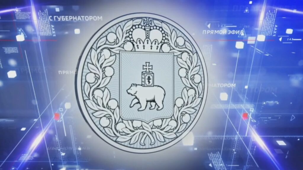    Фото: скрин прямого эфира ВГТРК Пермь Алена Калашникова