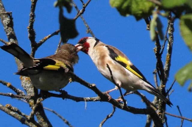   Фото: Из личного архивa/ Наталья Шило