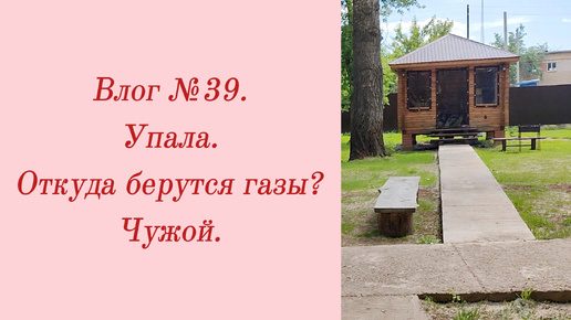 Влог №39. Упала/ Откуда берутся газы?/ Чужой. 28 мая - 1 июня 2024.